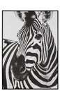 ZEBRA vægkunst